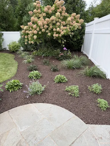 CLC Landscape Designer NJ 17 ACvplmPwgpKGWSjnQhqDe7C5fyNu0P8U1G9Io2BgNeIqTpL2XnWE3Rs8xWhKVCeDvvccUIC0QlubGM6efbF83N iPv2c3W29ChARL HIpCFneNyYmimIIHWqJCRgmczL6cFxiSfKz5o5gsoUtLU=k no