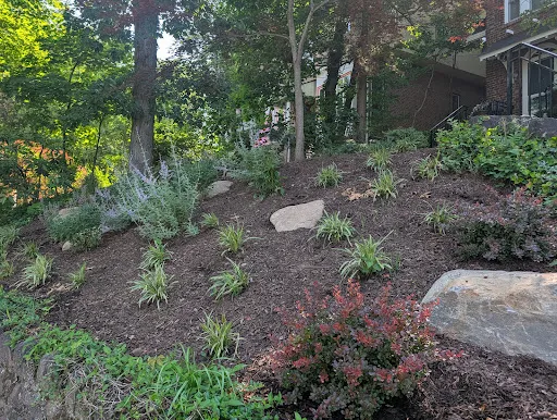 CLC Landscape Designer NJ 121 ACvplmNRGfp0pk SBnNdBnKaiXkk9L8mKOQndj7K9FkF eUm5 Cb 5s2IjtzzVDjuAnkx2Kjc0yTcFdAkQwiZ9FiGbmmemwOBTPOC5lGn0aSdaaQ3Hn367aBnewFhASJGPz7v7iYS4dt21txZA=k no