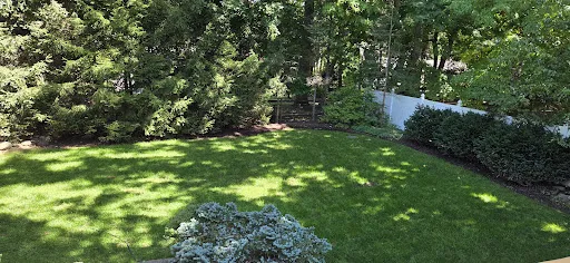 CLC Landscape Designer NJ 17 ACvplmOrRvjm1jYF1CANl09Ix Ur0Bn1E60kJF rSzytcCtoXp soeChWaT5SG3H8d5NJjuaWAmOlaDhf2GSUai1KiZ51qHxzvRWs8gM41JW8J4kaVwHlxtnALpLIfz4nwmtikwyf9wqc82VroS1=k no