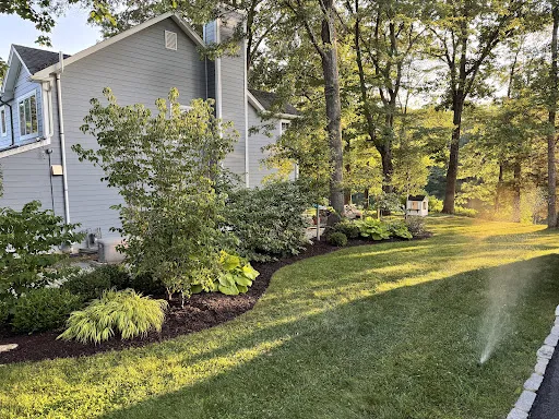 CLC Landscape Designer NJ 91 ACvplmPesqs6 6QkJ4vGALQc2UJACSjHYLdf5 EIRUnXUSicMlhms7dcXDh 1JtOVICxgwTfSIkmtbr0zeOgCTJi4aMkKXClOtRxOEr4nbowqIbwjGoeIV Ttgukr9eZcCP0Dc3b3Z3OtD9UJCGr=k no
