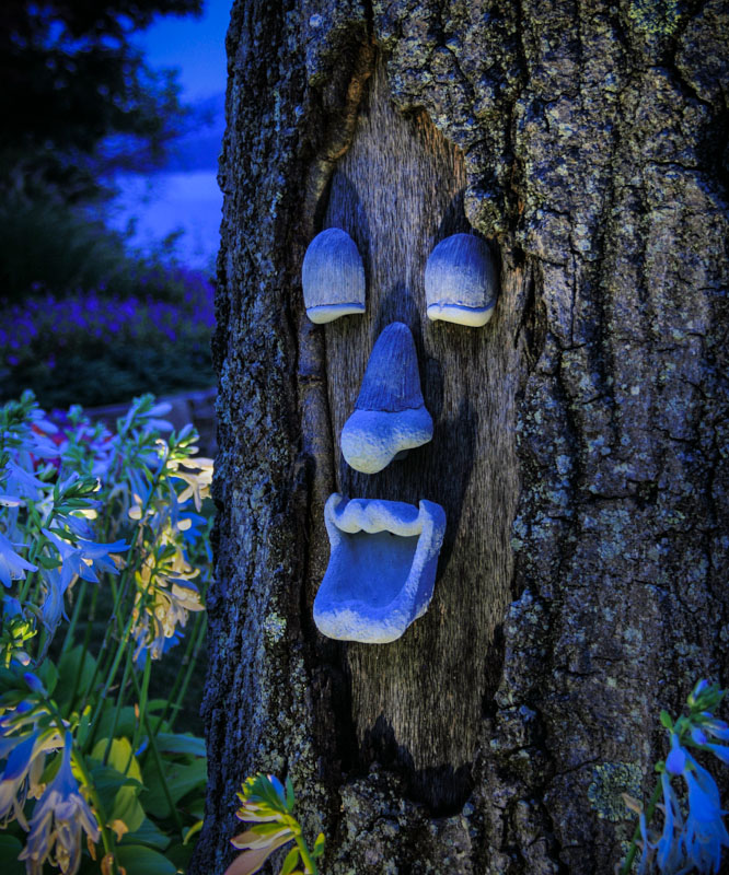 tree art that looks like face