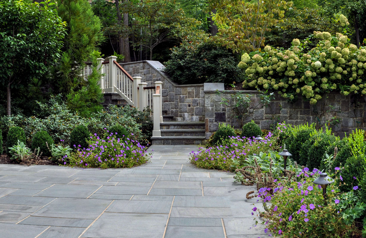 hydrangea, geranium, patio planting design