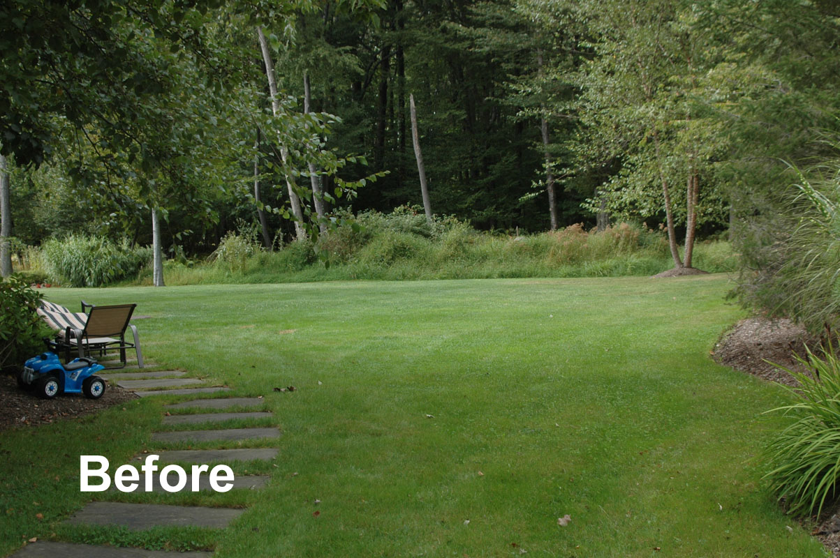 before photo, landscaping before and after, grass backyard - north jersey