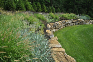 Backyard Landscape - Sparta, Nj - Clc Landscape Design