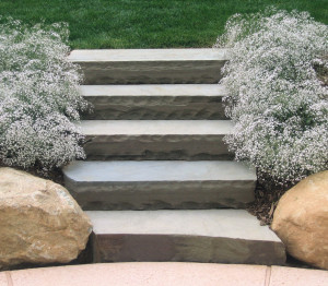 Steps - CLC Landscape Design