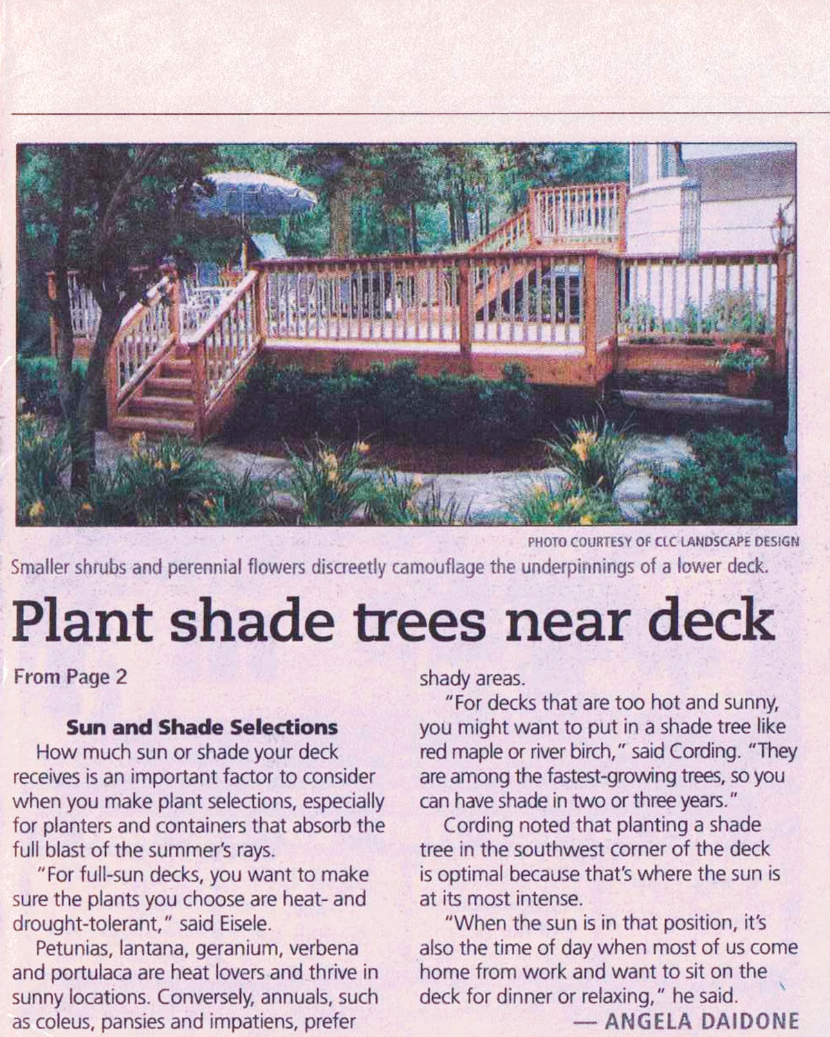 The Record - Plantings Around NJ Deck (page 2)