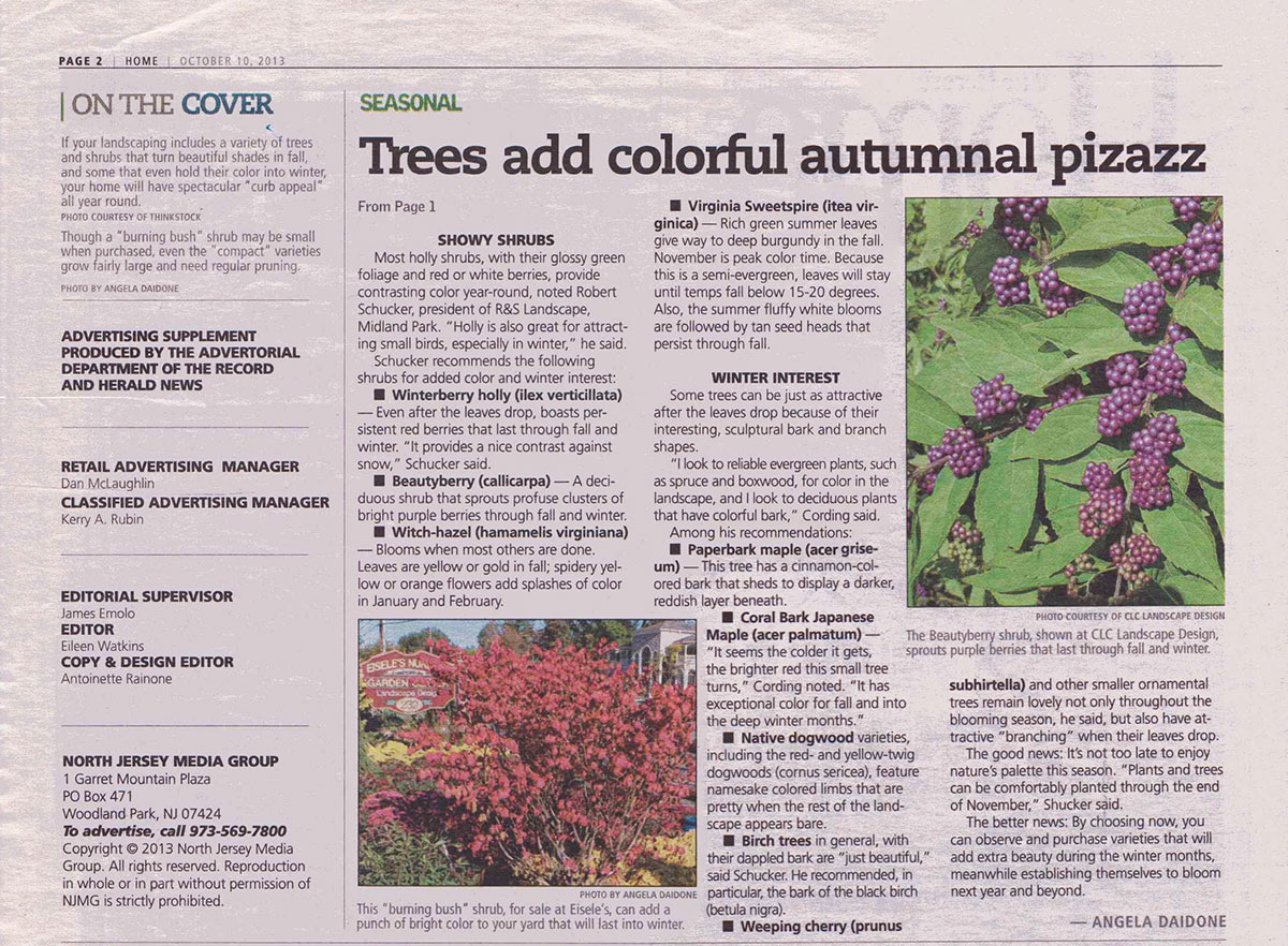 The Record - Best Plants For Fall Color in NJ (page 1)