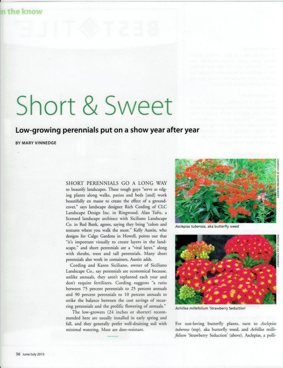 First page of Design NJ article on low-growing perennials featuring CLC Landscape Design