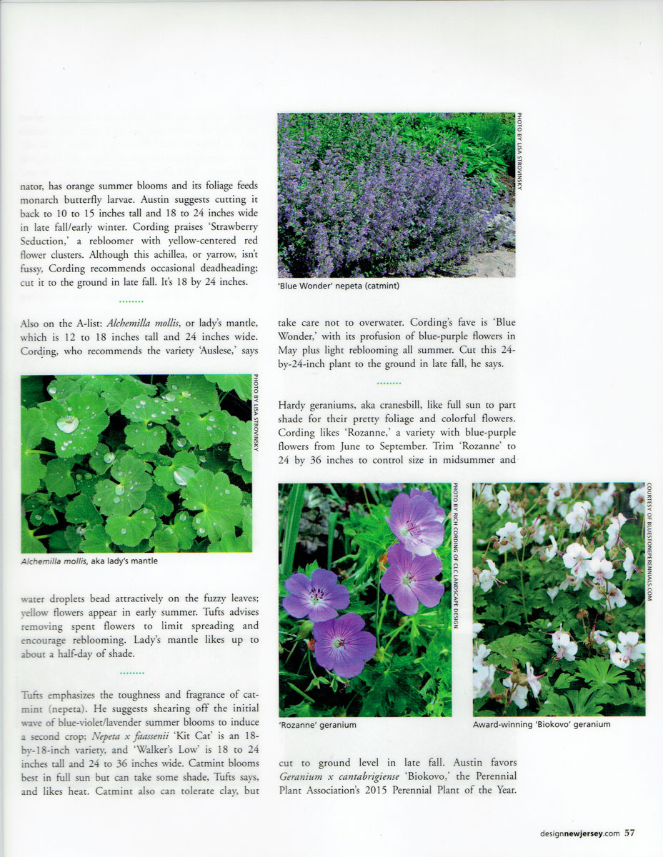 Second page of Design NJ article on low-growing perennials featuring CLC Landscape Design