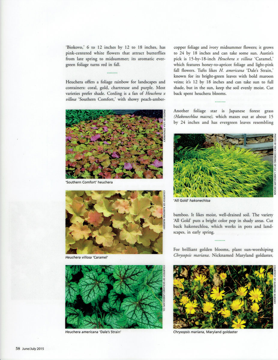 Third page of Design NJ article on low-growing perennials featuring CLC Landscape Design