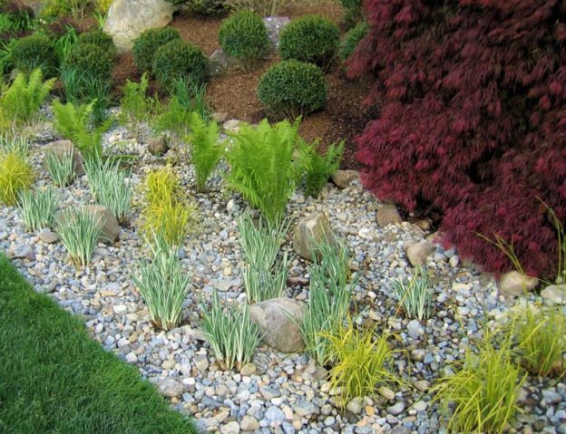 Rain Gardens: Dealing With Stormwater Runoff | CLC Landscape Design