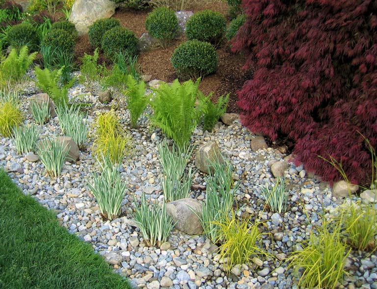 Rain Gardens – Reduce Your Stormwater