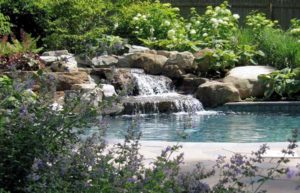 ornamental planting with pool waterfall