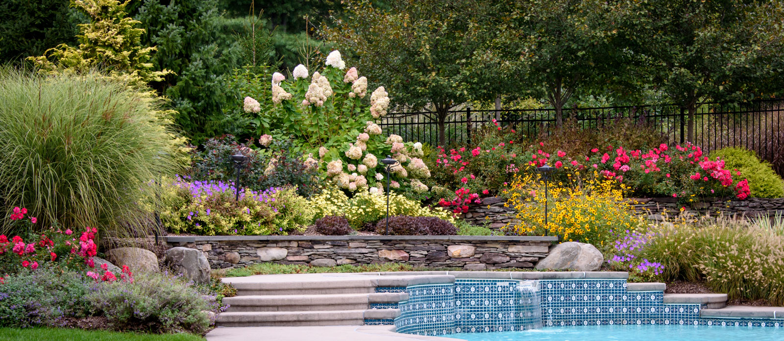 curved seat wall and assortment of plants used in nj pool landscape