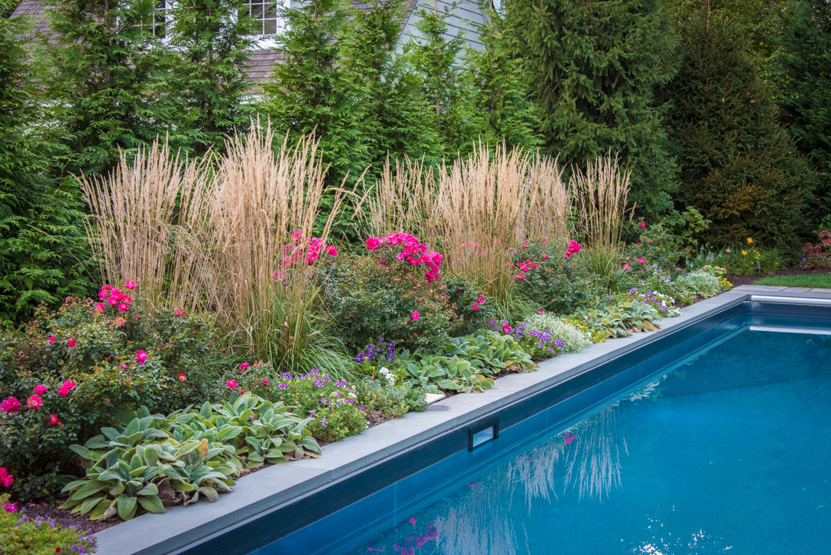 lush plantings alongside rectangular swimming pool coping
