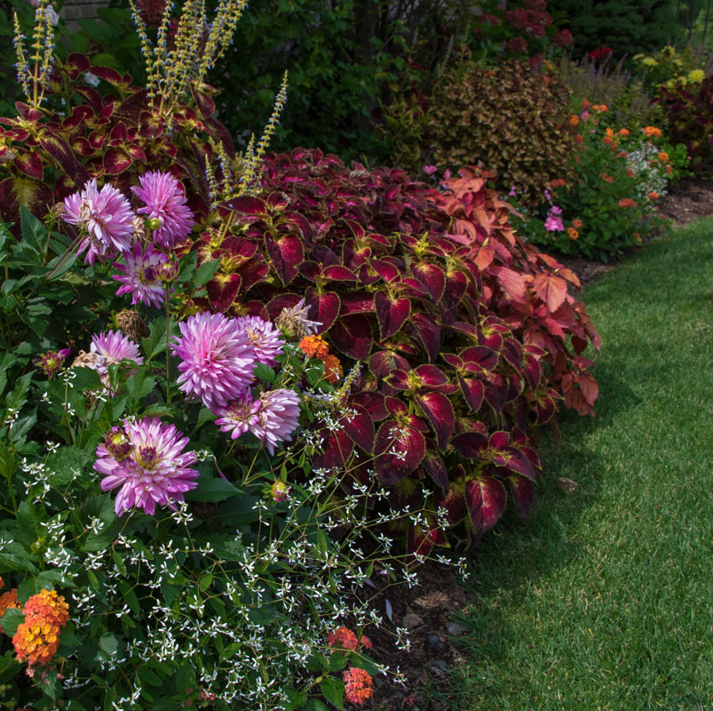 beautiful and colorful plantings in montville nj backyard