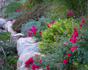 Ringwood Mountainside Retreat - CLC Landscape Design