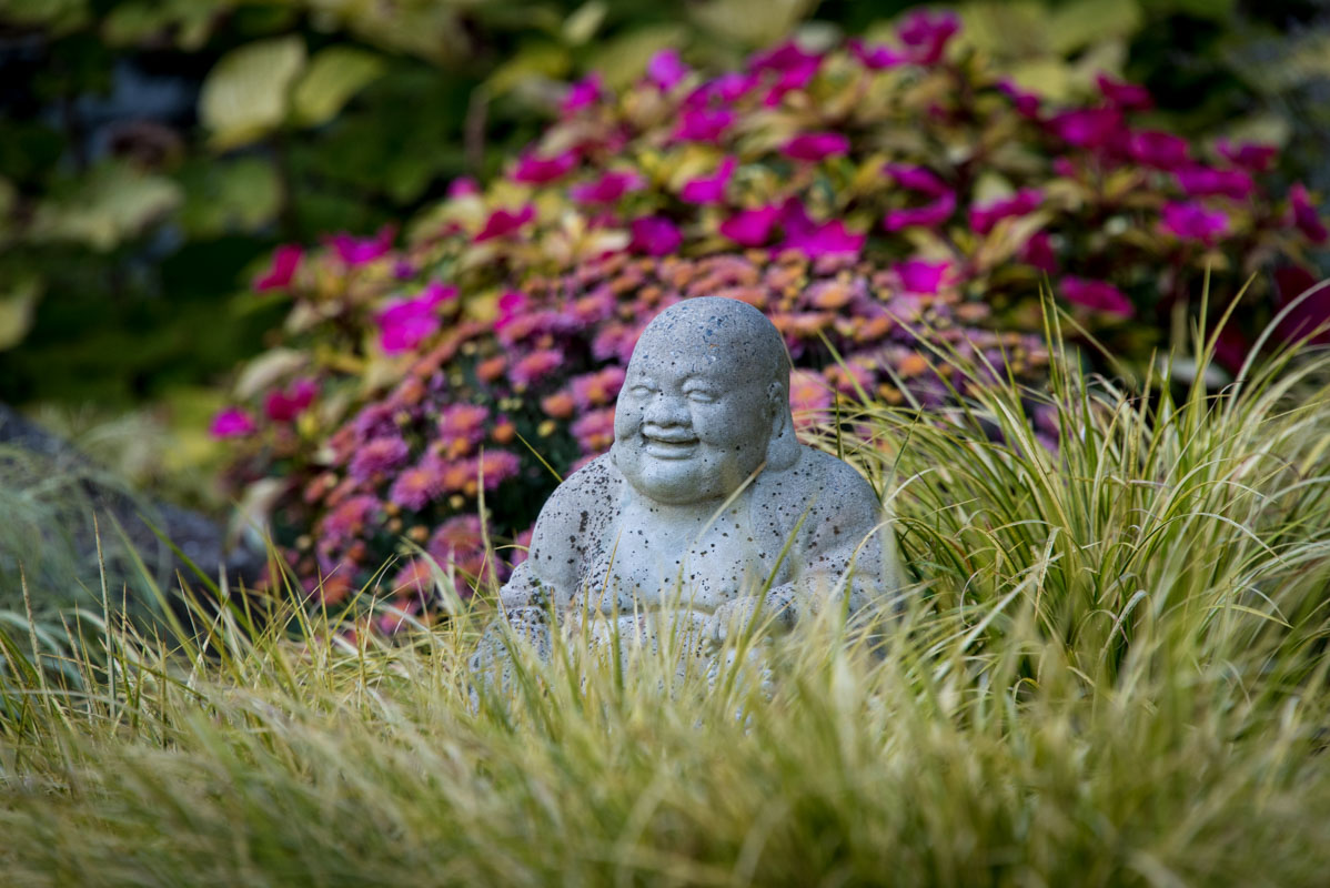buddha statue used in wayne nj landscape, garden art