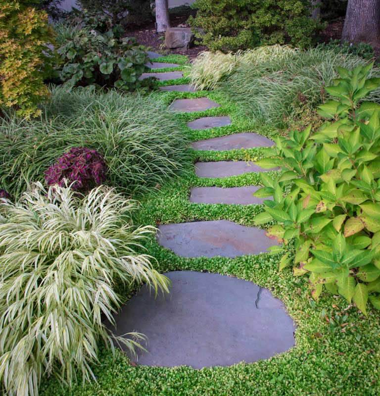 stepping stones with groundcover in wayne nj landscape