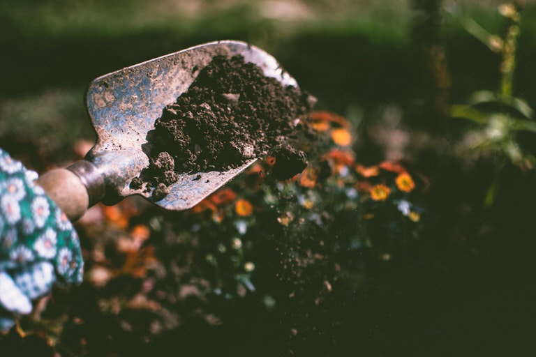 small shovel with dirt on it while planting