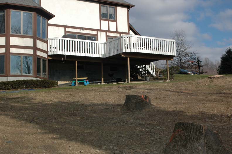 Before and after of a backyard showing the transformation from a basic lawn into a custom pool retreat with cascading rock waterfall, stone coping, and lush plantings.