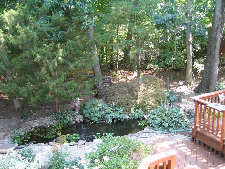 Before and after of a backyard makeover showing the transformation from an empty yard to a vibrant landscape with pool, stone patio, lounge seating, and lush plantings.