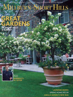 Elegant courtyard garden with blooming white flowers in large terra cotta planters outside a classic stone building.