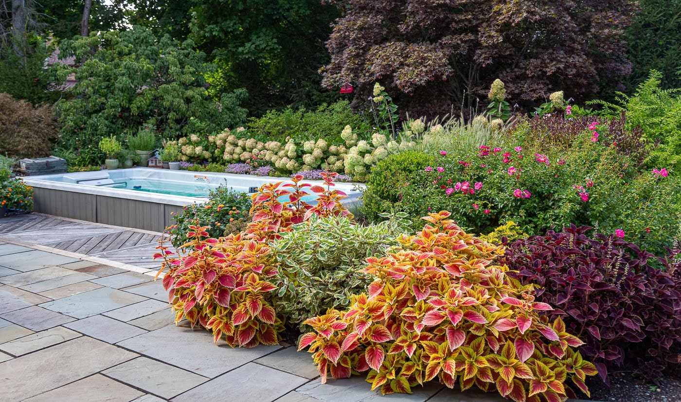 Colorful annuals and layered planting beds in a custom backyard landscape design in Franklin Lakes, NJ by CLC Landscape Design.