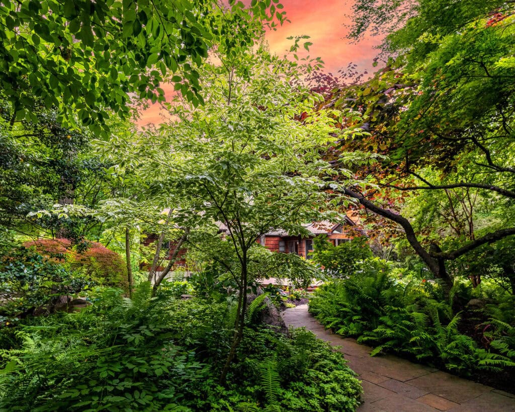 Peaceful backyard sanctuary in Ringwood, NJ designed by CLC Landscape Design – layered plantings, stone walls, and a natural garden escape