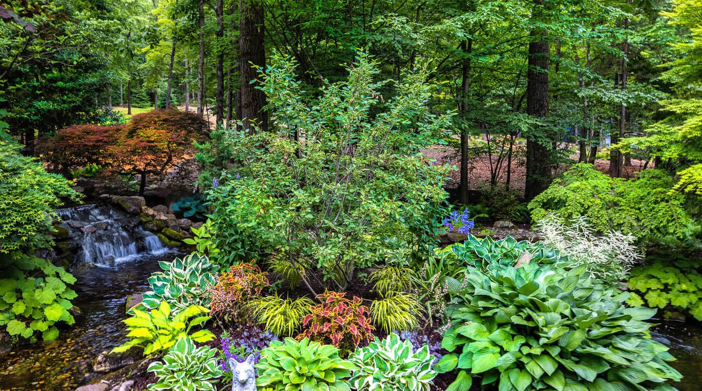 Wooded backyard retreat by CLC Landscape Design in Ringwood, NJ—cascading multi‑tiered waterfall flowing into a pond surrounded by lush perennials, ornamental grasses, and stepping stones that invite a tranquil garden stroll