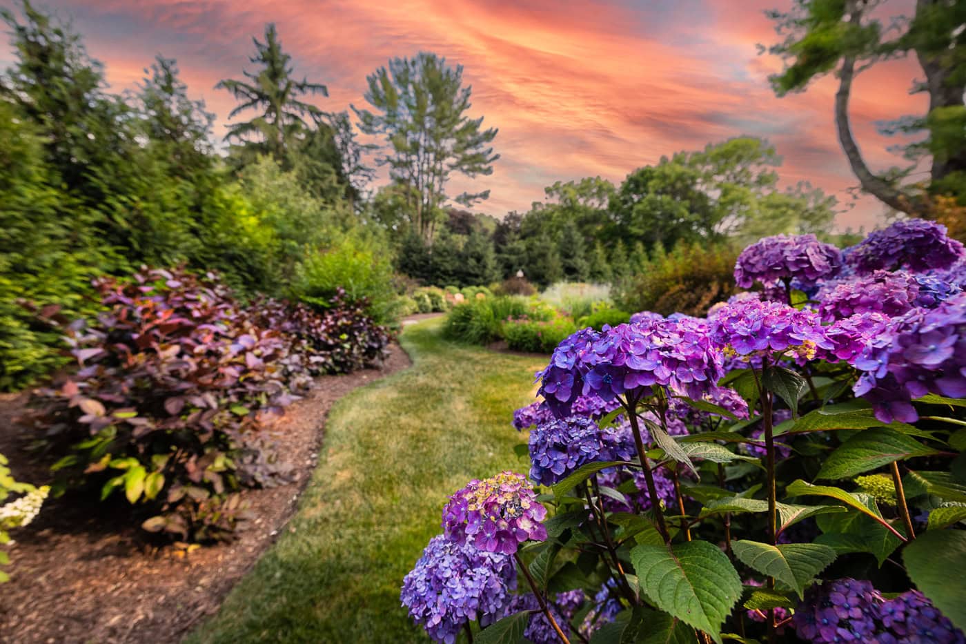 Wide view of a beautifully landscaped backyard in Kinnelon, NJ with vibrant plantings, open lawn space, and a harmonious layout by CLC Landscape Design.