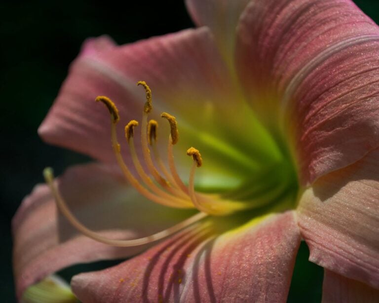 clc landscape design bergen county 02